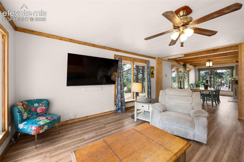 Image 10 of 37: Living Room