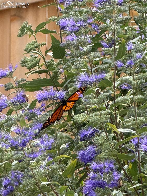 Image 41 of 50: Other