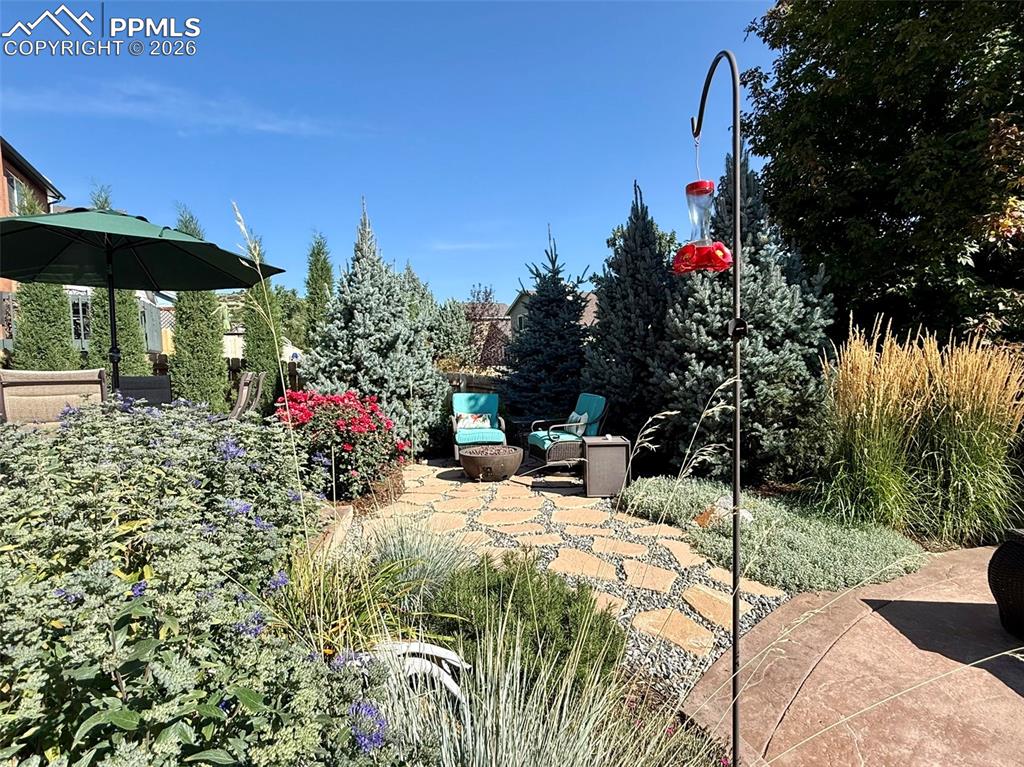 Image 45 of 50: Yard