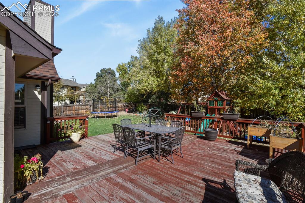 Image 44 of 50: Gorgeous trees for privacty and summer shade!