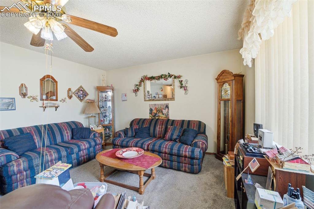 Image 16 of 31: No Description Available