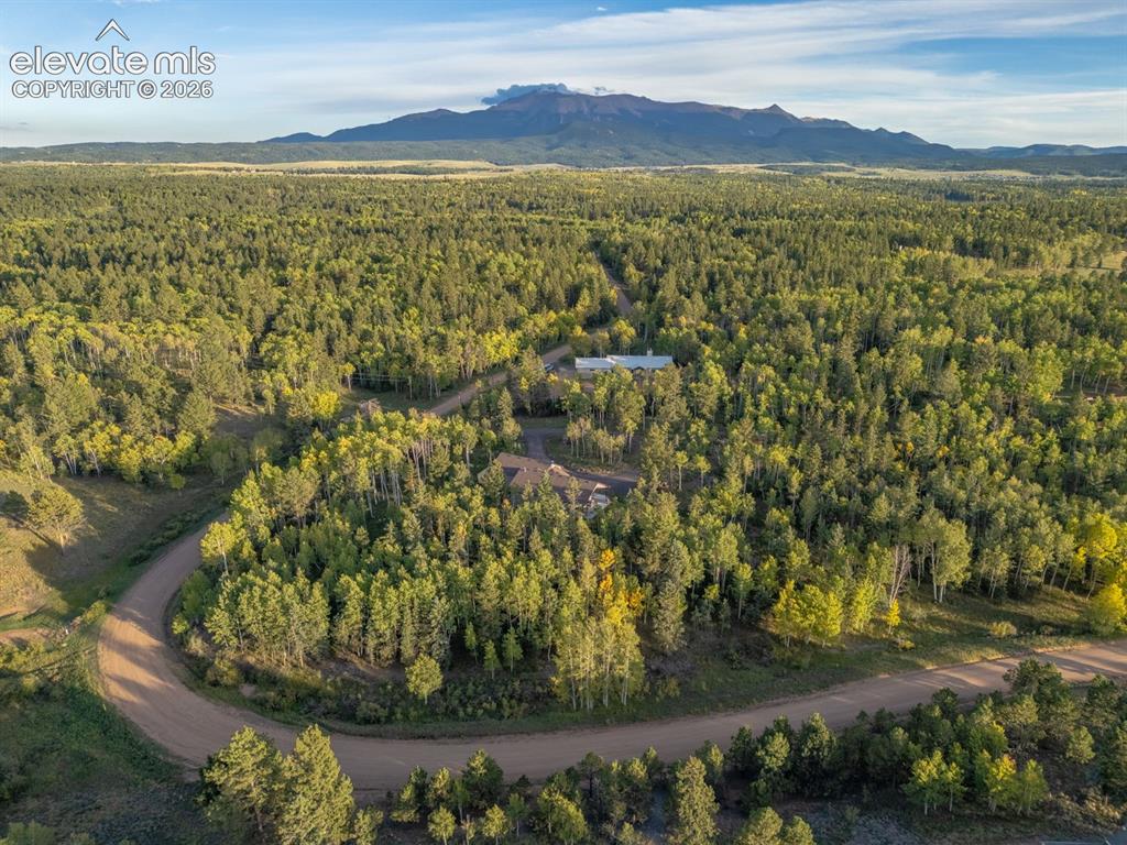 Image 37 of 41: Aerial View