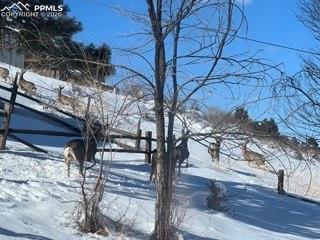 Image 46 of 48: Big boy!