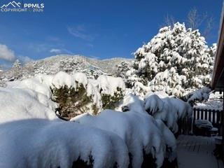 Image 47 of 48: Wild turkeys.