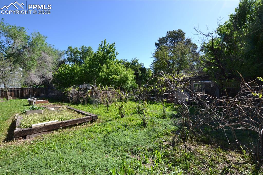 Image 37 of 50: Yard