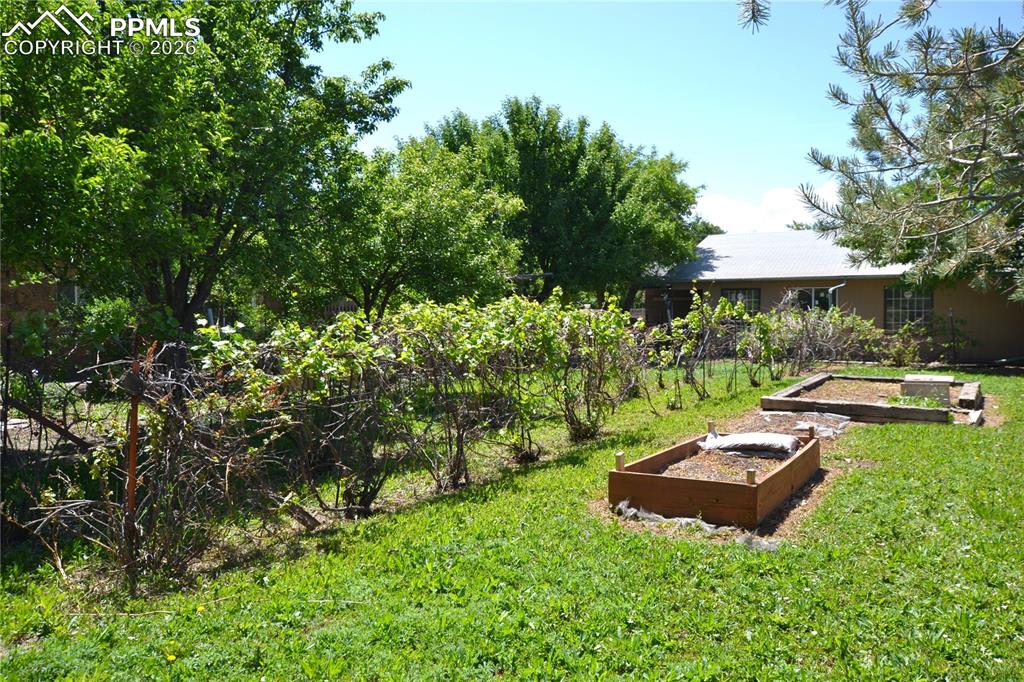 Image 49 of 50: Yard