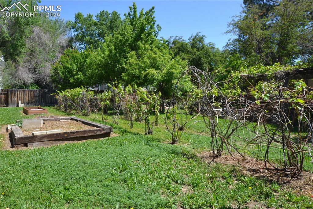 Image 50 of 50: Yard