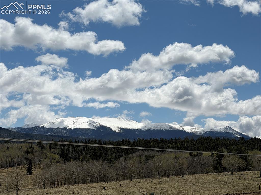 Image 10 of 40: View