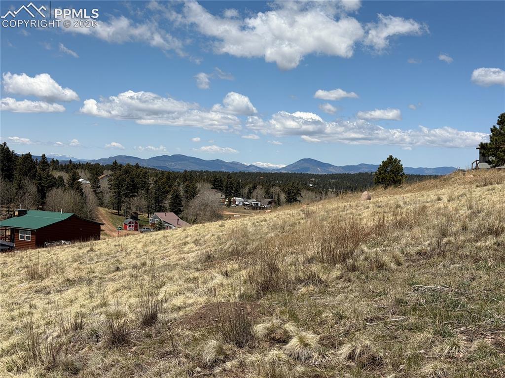 Image 11 of 40: View
