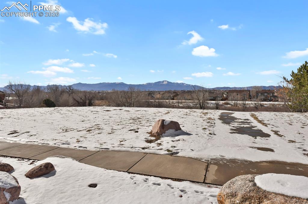 Image 50 of 50: Yard