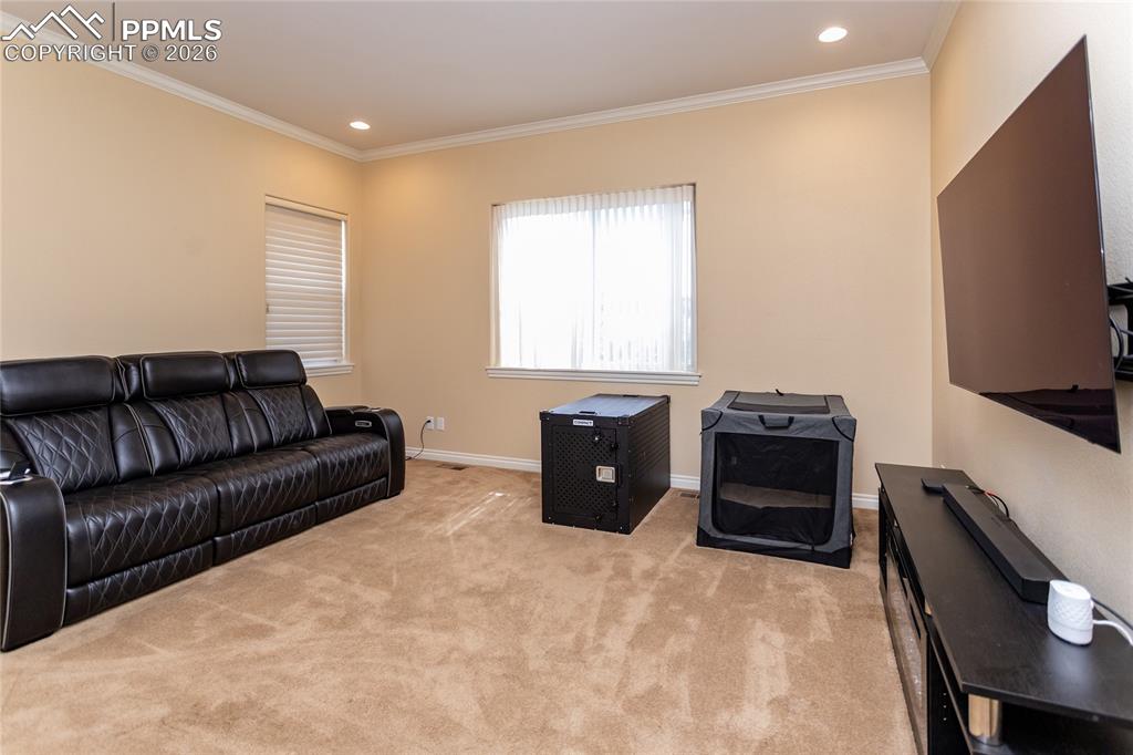 Image 47 of 50: Media Room