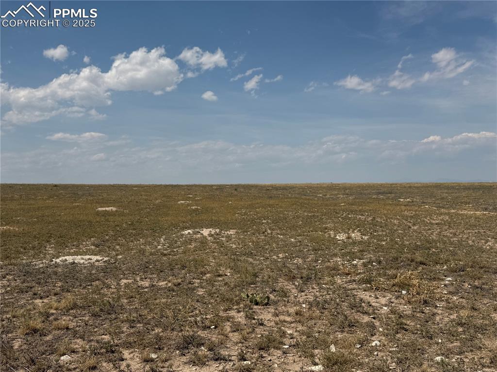 Image 6 of 17: View of local wilderness with rural landscape