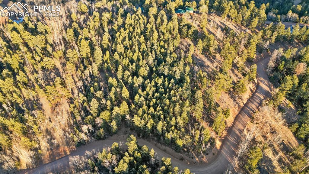 Image 11 of 38: Aerial View