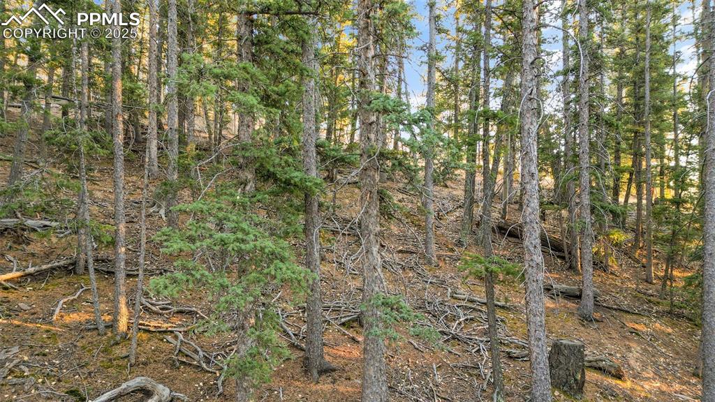 Image 12 of 38: Other