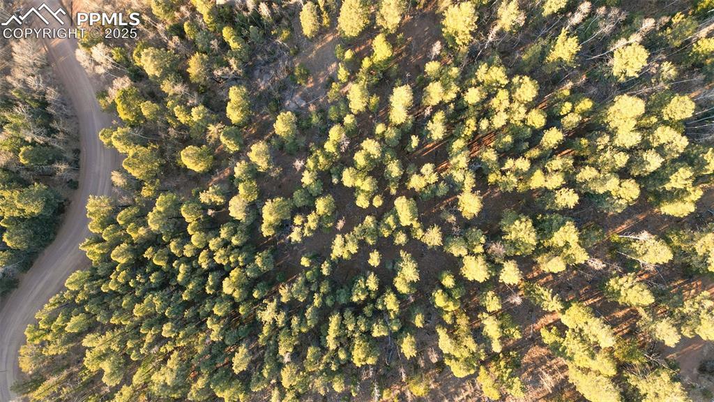 Image 16 of 38: Aerial View