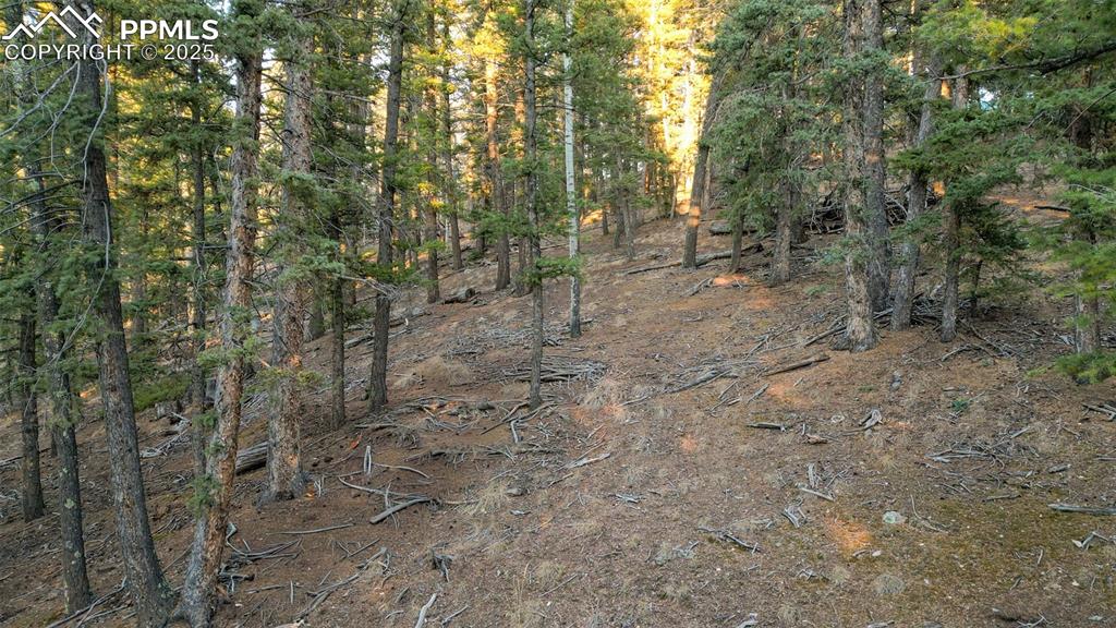 Image 17 of 38: Other