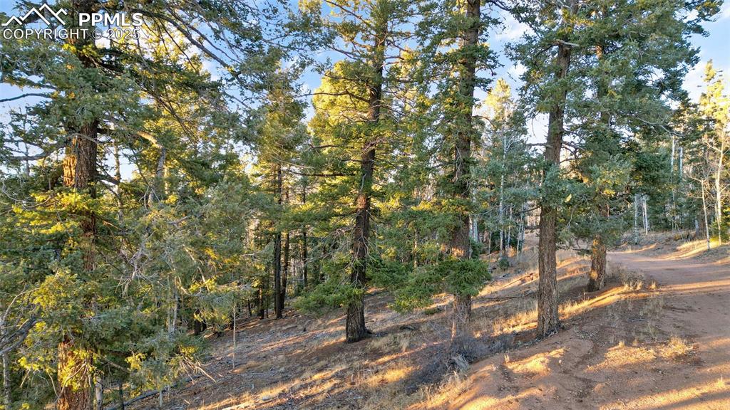 Image 18 of 38: Other