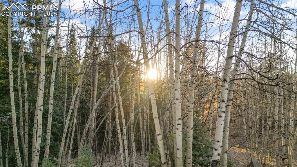 Image 19 of 38: Other