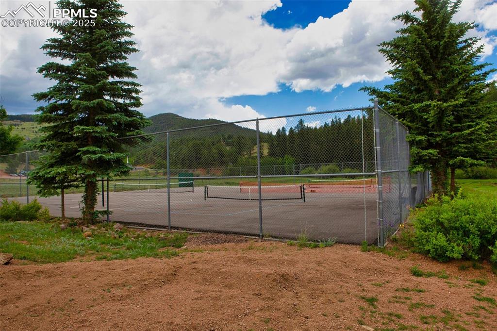 Image 29 of 38: HOA tennis/pickleball courts