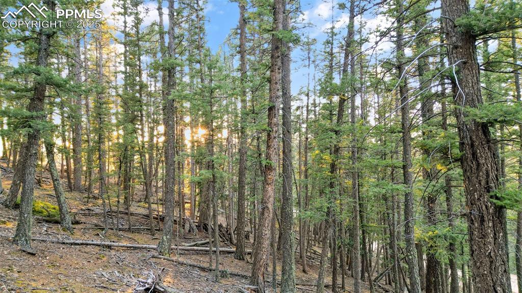 Image 5 of 38: Other