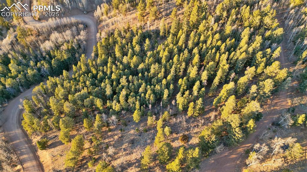 Image 7 of 35: Aerial View