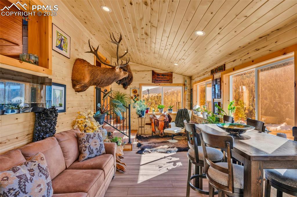 Image 20 of 49: Other