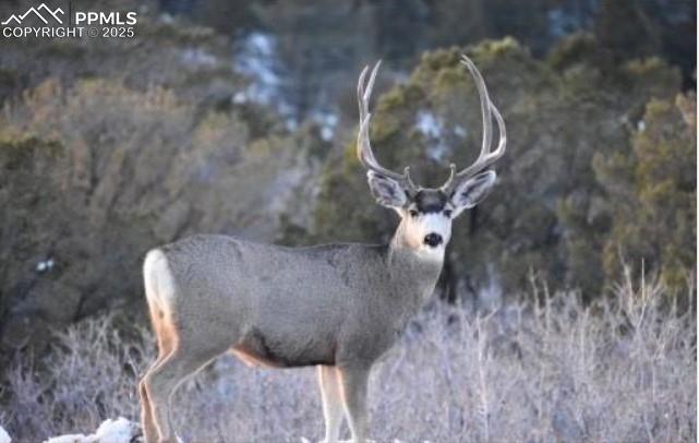 Image 44 of 49: Other