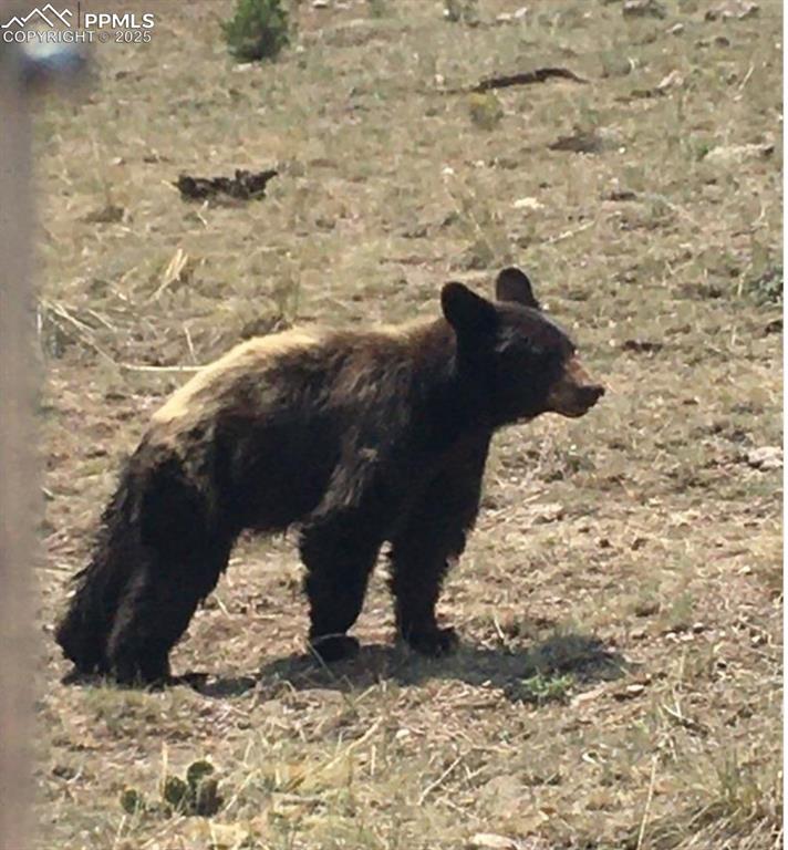 Image 45 of 49: Other