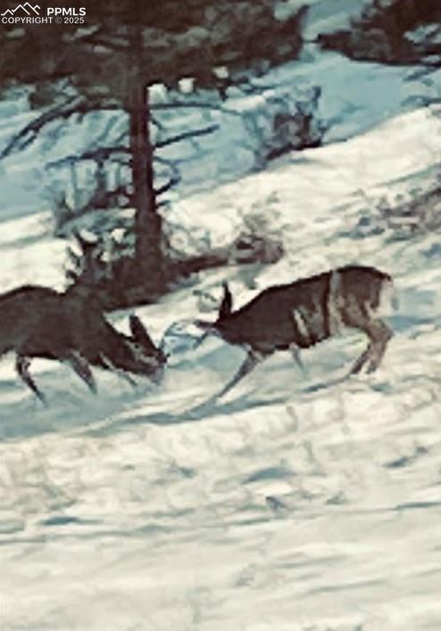 Image 46 of 49: Other