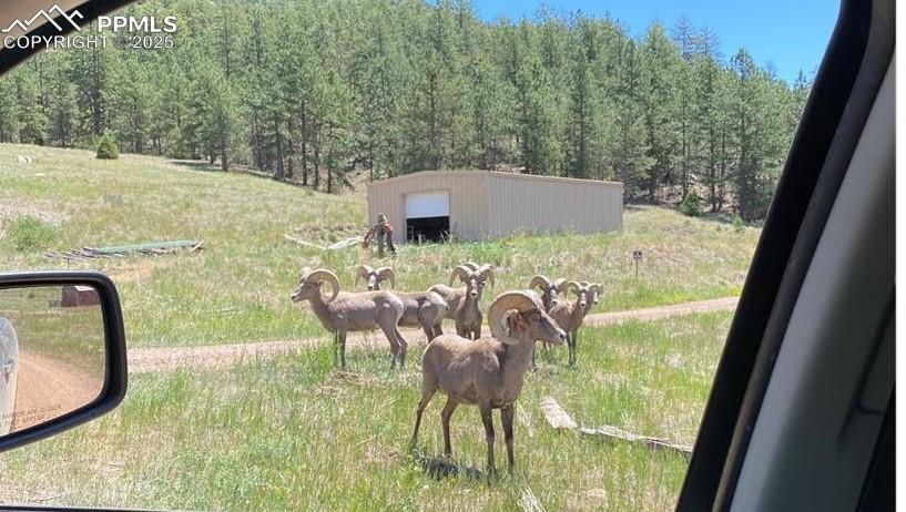 Image 47 of 49: Yard