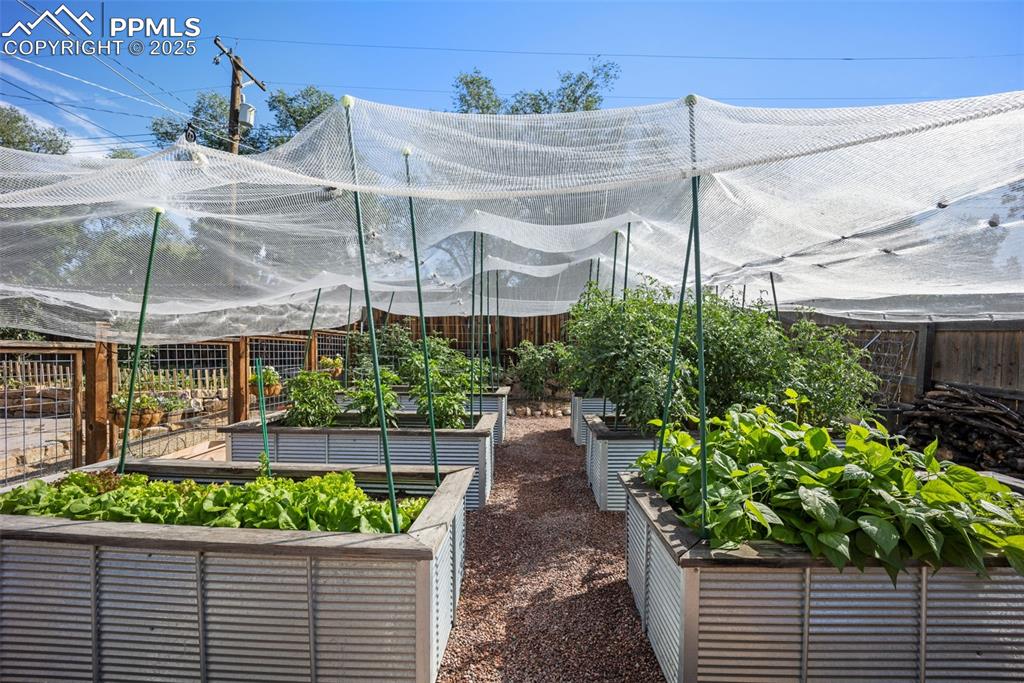 Image 35 of 47: View of yard featuring a vegetable garden