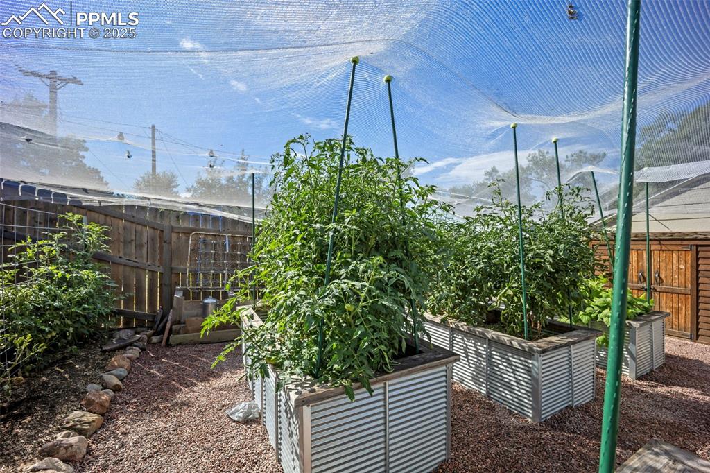 Image 37 of 47: View of yard featuring a vegetable garden