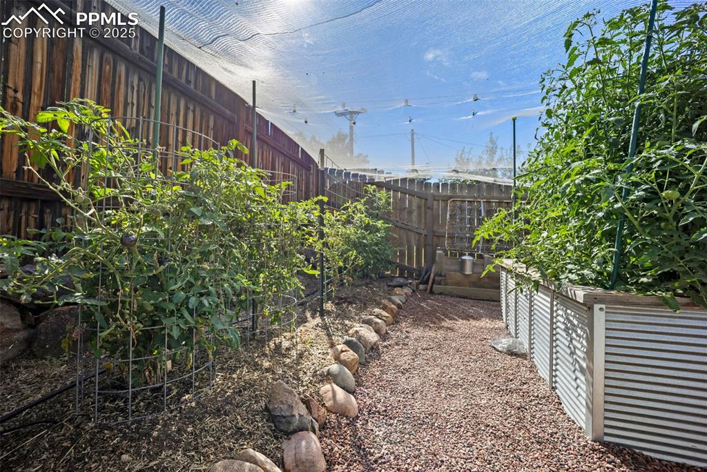 Image 38 of 47: View of yard