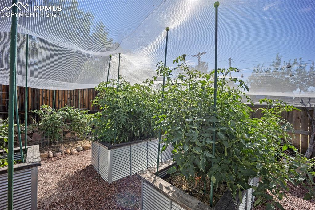 Image 39 of 47: View of yard with a vegetable garden