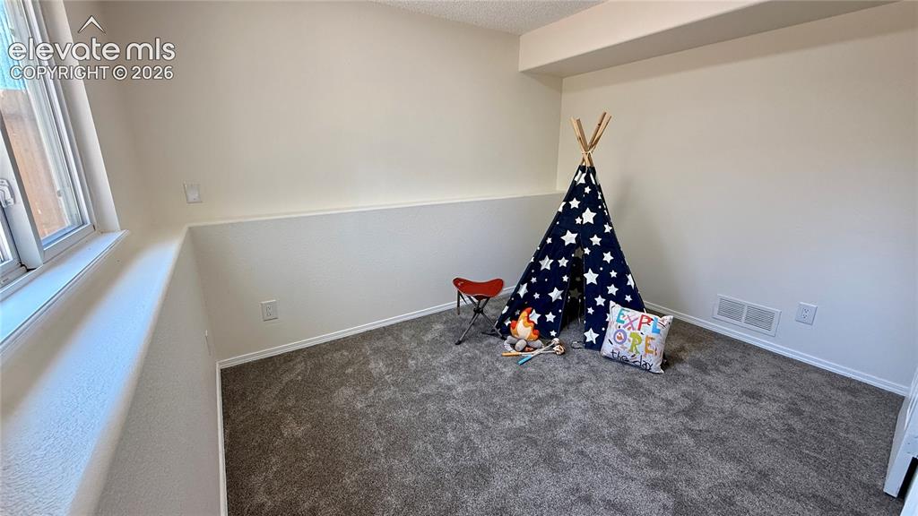 Image 18 of 22: lower level bedroom, new carpet