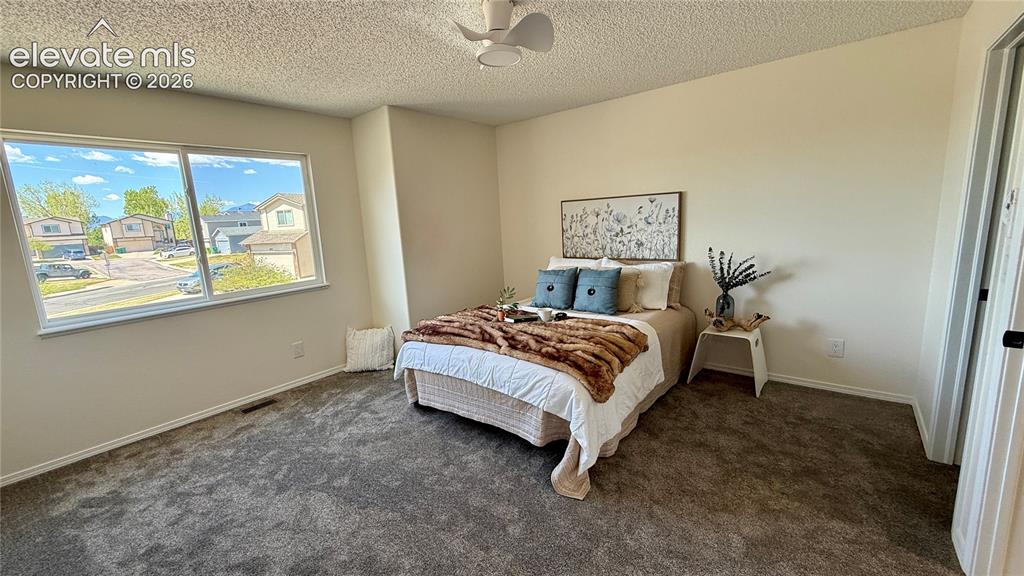 Image 9 of 22: Primary bedroom with new carpet