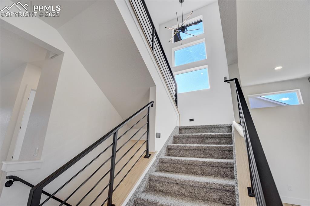 Image 20 of 50: Other