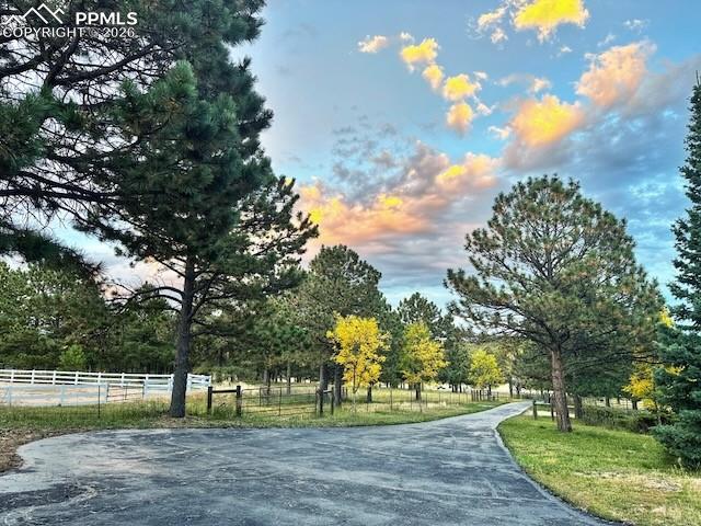 Image 6 of 45: Driveway
