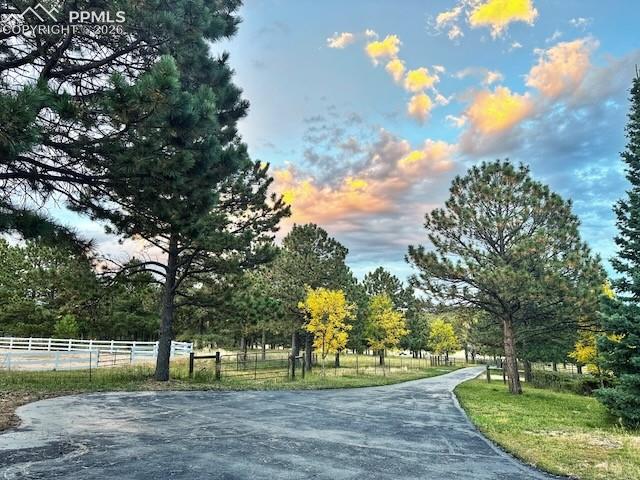 Image 6 of 45: Driveway