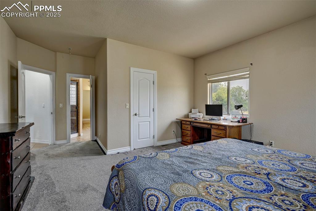 Image 29 of 47: Bedroom with light colored carpet, a closet, and a desk