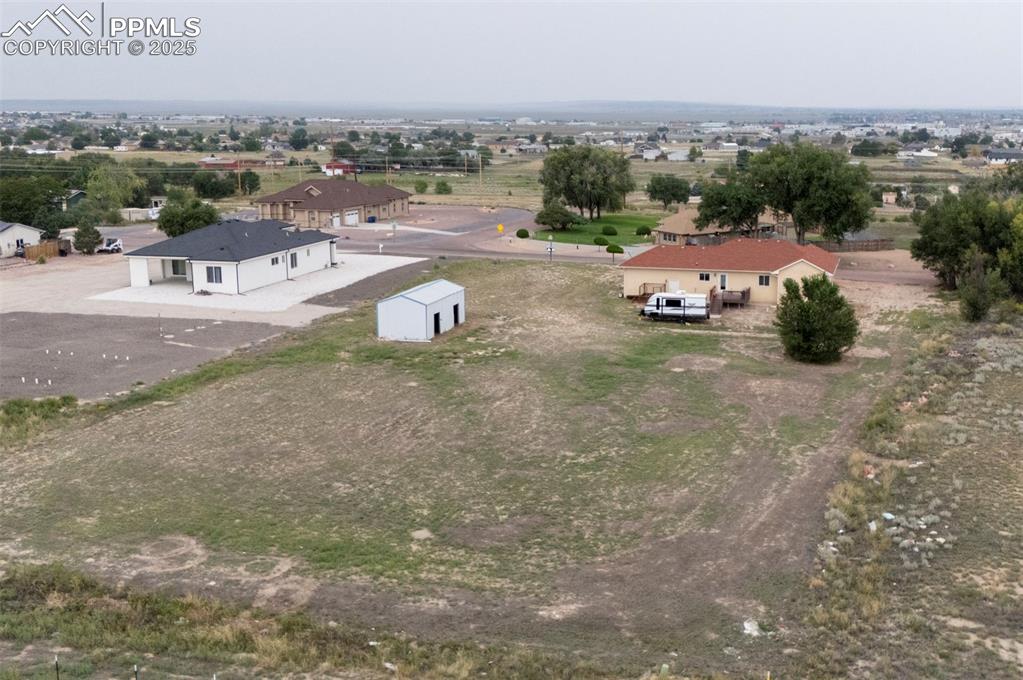 Image 44 of 47: Bird