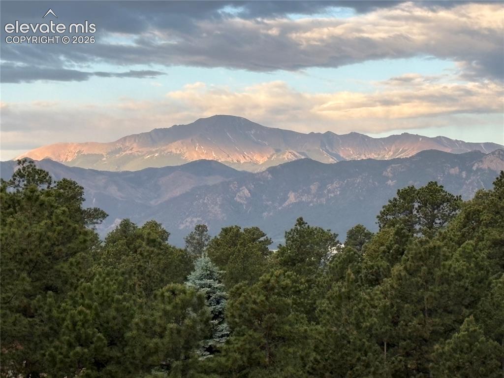 Image 45 of 49: Spring Time in the Rockies! 