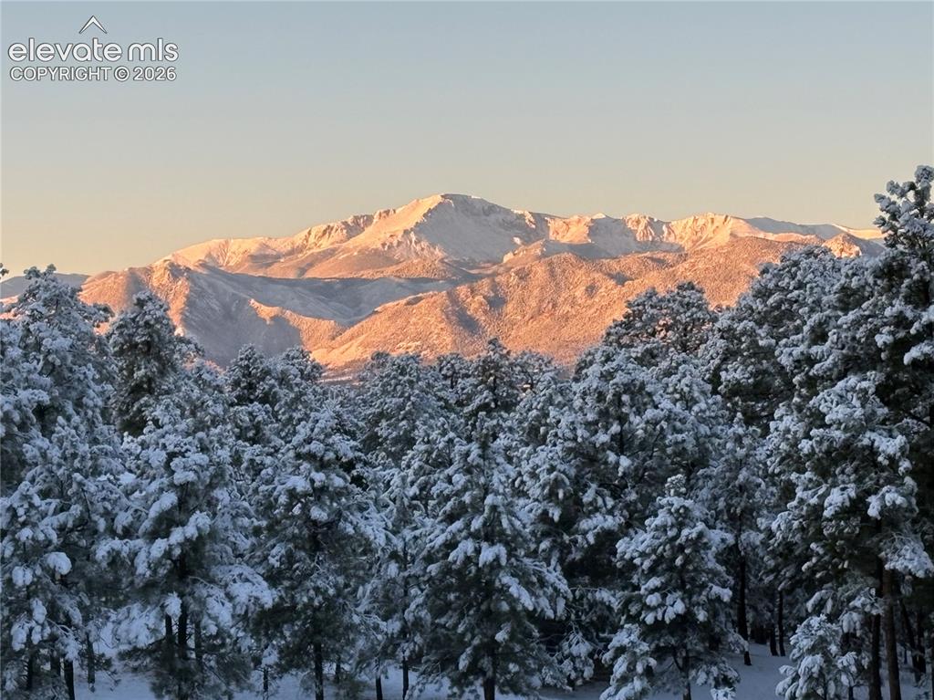 Image 46 of 49: Fresh Snow on Pikes Peak