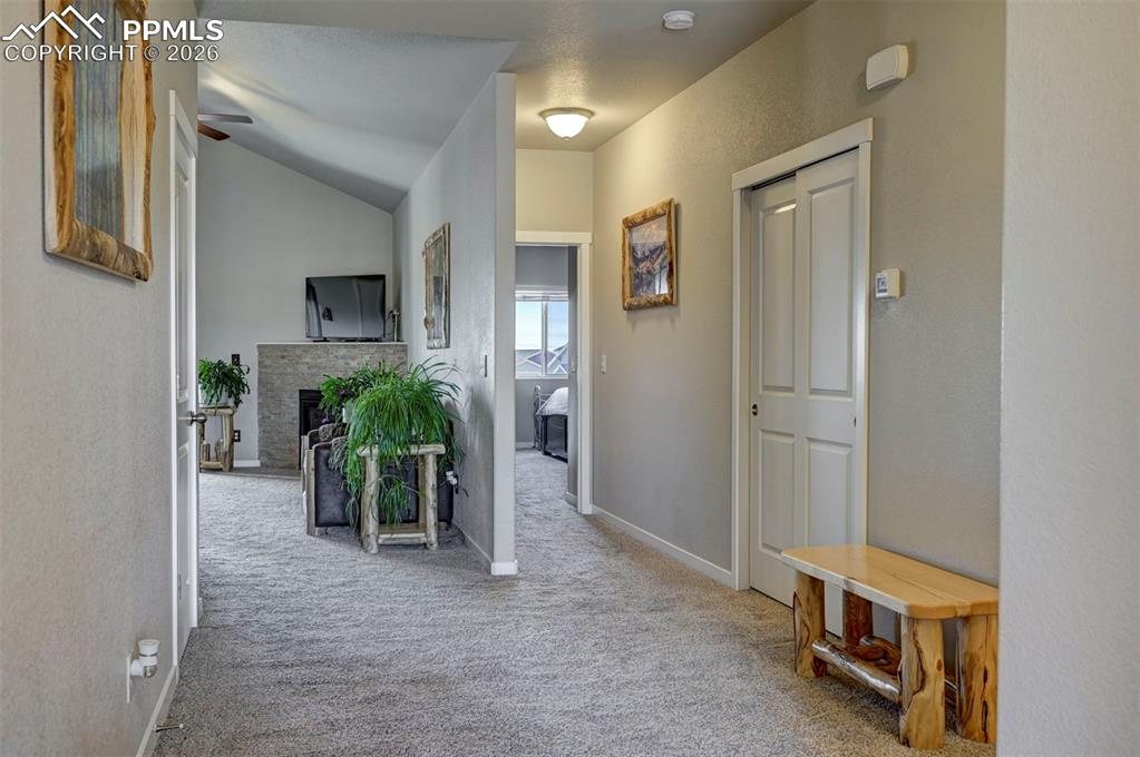 Image 5 of 44: Other