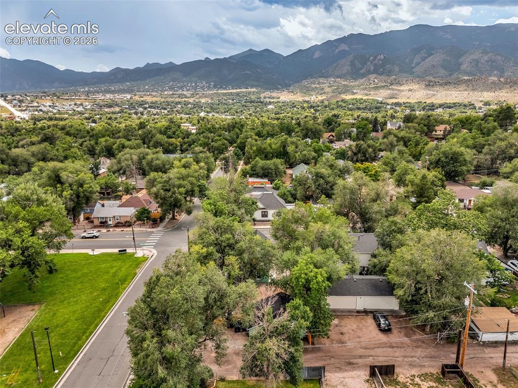 Image 43 of 50: Expansive mountain backdrop with a lush, tree-filled neighborhood