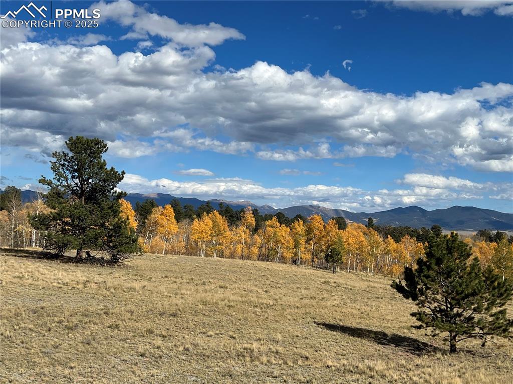 Image 34 of 50: View