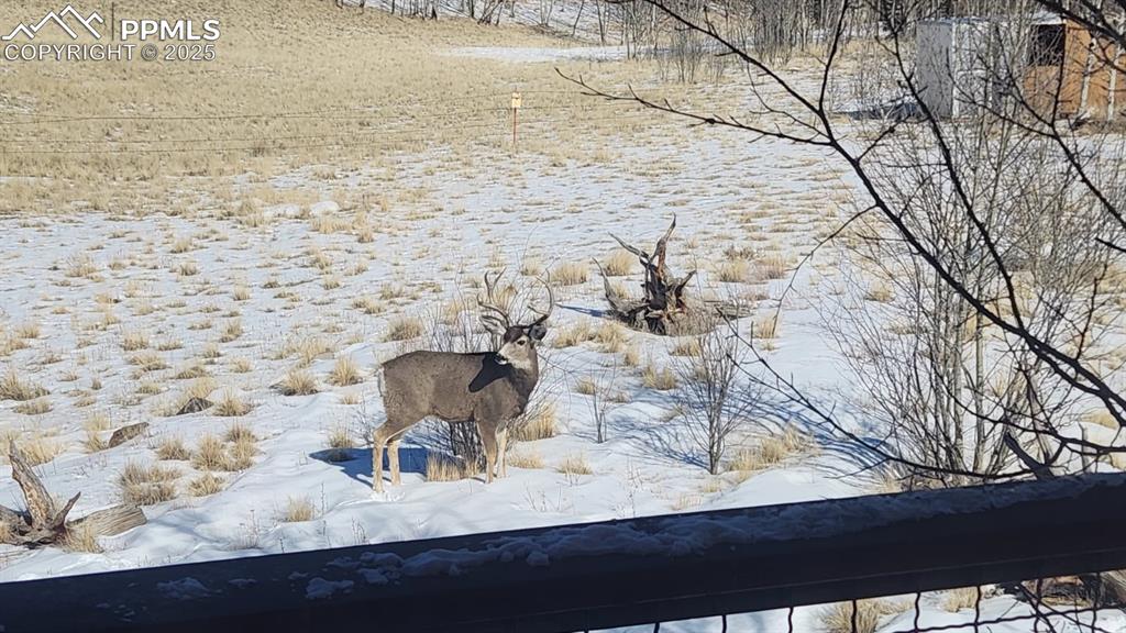 Image 35 of 50: Yard