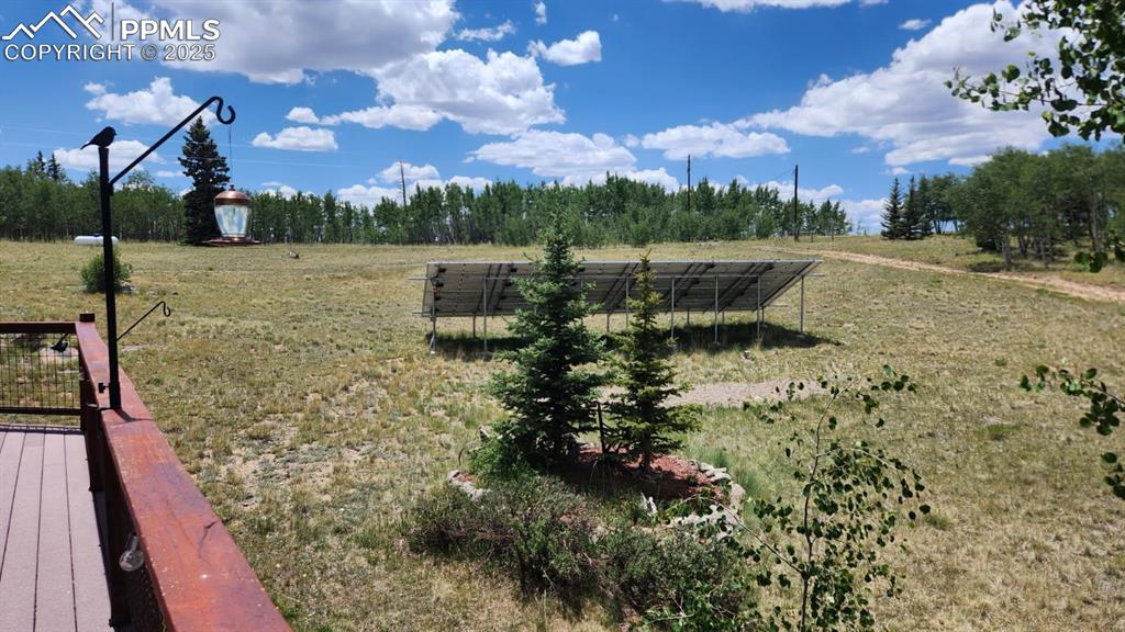 Image 36 of 50: Yard