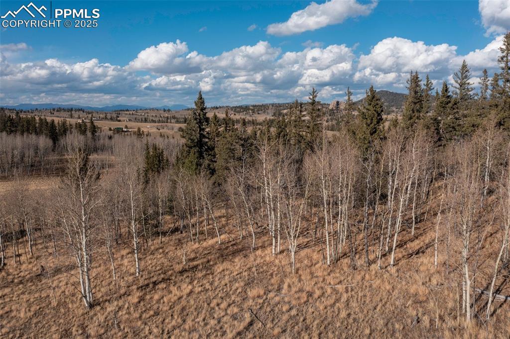 Image 49 of 50: Aerial View