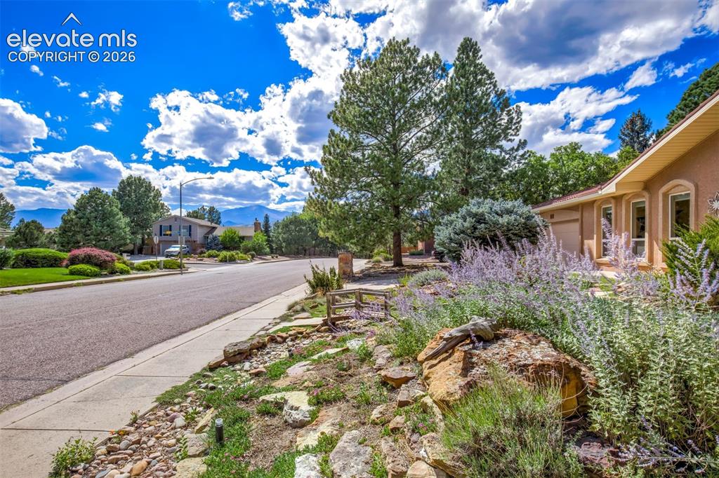 Image 5 of 48: Looking Down The Quiet Neighborhood Street